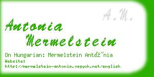 antonia mermelstein business card